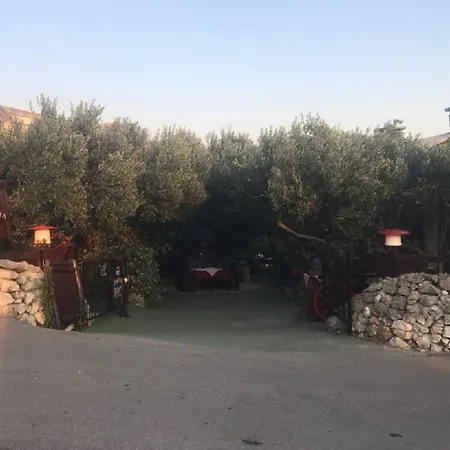Antisa شقة